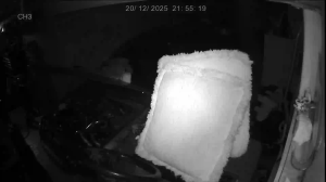 Caméra IP - Nueva Zelanda