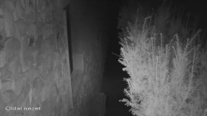 Caméra IP - Hungary