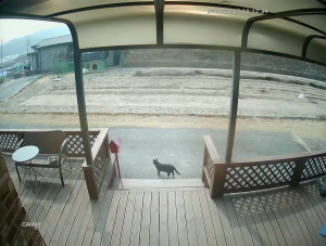 Caméra IP - República de Corea