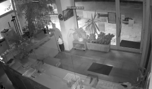 Caméra IP - Denmark