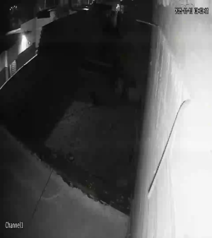 Caméra IP - Argentine