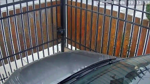 Caméra IP - Cile