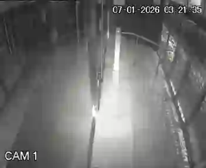 Caméra IP - Francia