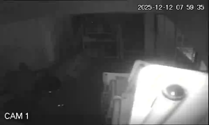 Caméra IP - Mozambique