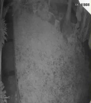 Caméra IP - Sudafrica