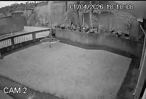 Caméra IP - Brésil