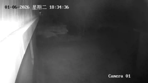 Caméra IP - People's Republic of China