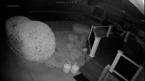 Caméra IP - États-Unis d'Amérique