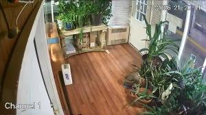 Caméra IP - United States of America