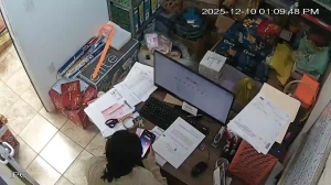 Caméra IP - México