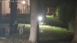 Caméra IP - Italien