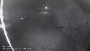 Caméra IP - Frankreich