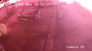 Caméra IP - Portugal