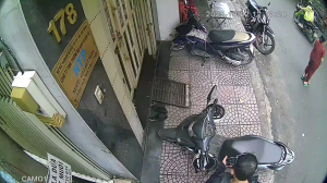 Caméra IP - Vietnam