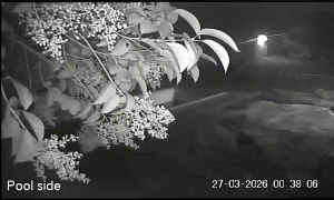 Caméra IP - Sudafrica