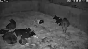 Caméra IP - États-Unis d'Amérique