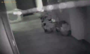 Caméra IP - Bulgaria