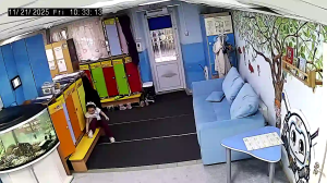 Caméra IP - Russian Federation