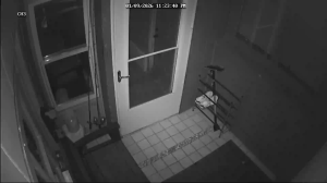 Caméra IP - United States of America