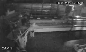 Caméra IP - Argentina