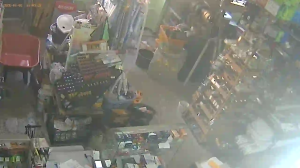 Caméra IP - Georgia