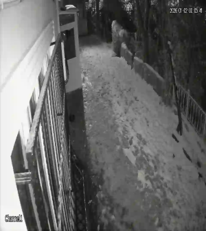 Caméra IP - Türkei