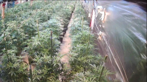 Caméra IP - Canadá