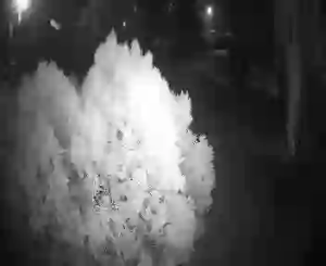 Caméra IP - Türkei