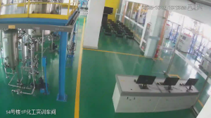 Caméra IP - China