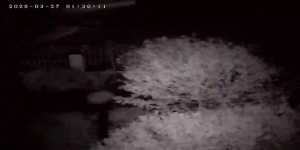 Caméra IP - Niederlande