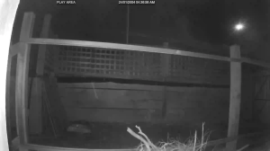 Caméra IP - Australien