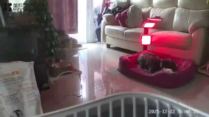 Caméra IP - Hong Kong