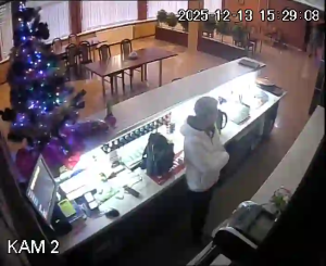 Caméra IP - Polonia