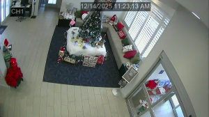 Caméra IP - Stati Uniti d'America