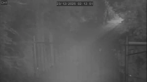 Caméra IP - Thailand