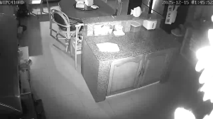 Caméra IP - Malaisie