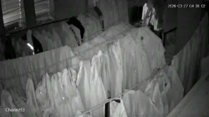 Caméra IP - Dominican Republic