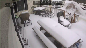 Caméra IP - États-Unis d'Amérique