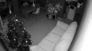 Caméra IP - Russian Federation