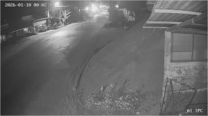 Caméra IP - Vietnam