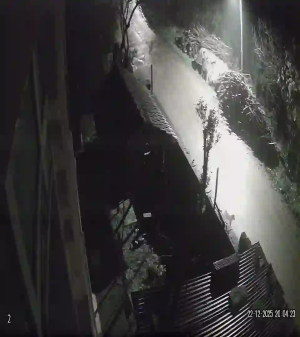 Caméra IP - Türkei