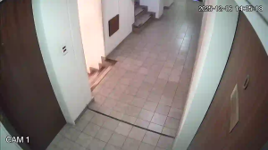 Caméra IP - Argentine