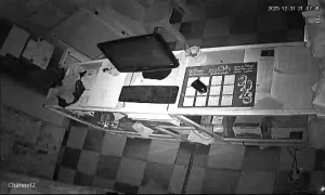 Caméra IP - Algerien