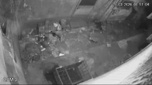 Caméra IP - Indonesia