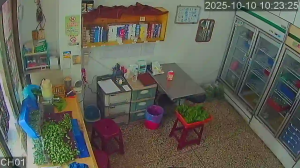 Caméra IP - Taiwán