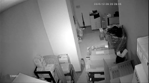 Caméra IP - Corée du Sud