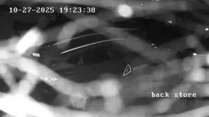 Caméra IP - Irlande