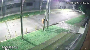 Caméra IP - Argentina