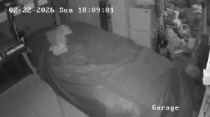 Caméra IP - United States of America