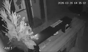 Caméra IP - Singapore